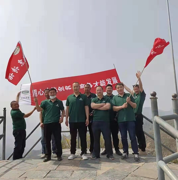 公司活动